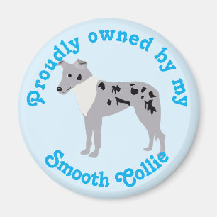 Cartoon Smooth Collie Merle Magnet Magneet