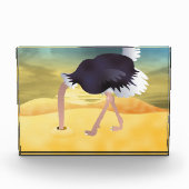 Cartoon struisvogels met kop in zand fotoblokken (Voorkant)