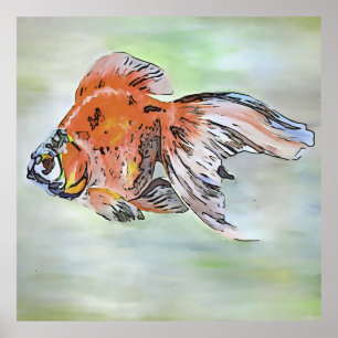 Cartoon Style Ryukin Goldfish Acrylverf Poster