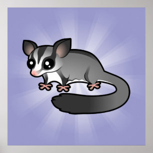 Cartoon Sugar Glider Poster