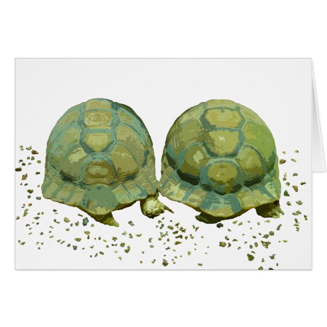 Cartoon Turtles Card (Voorkant Horizontaal)