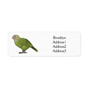 Cartoon van Kakapo Etiket