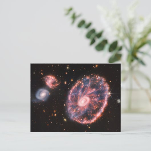 Cartwheel Galaxy, James Webb Space Telescope Briefkaart (Staand voorkant)