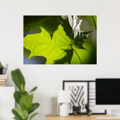 Carulmare Maple Leaf CC0041 Poster (Thuiskantoor)