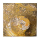 Carved Bowl Made of Fossils in Rock Closeup Photo Tegeltje (Voorkant)