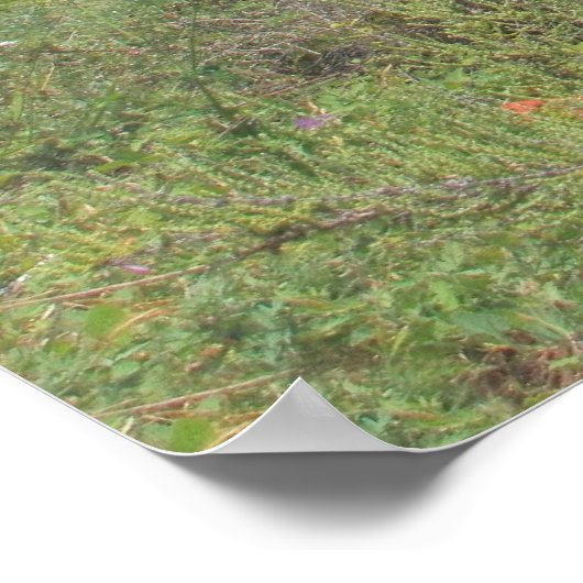 Carvoeiro Poster (Hoek)