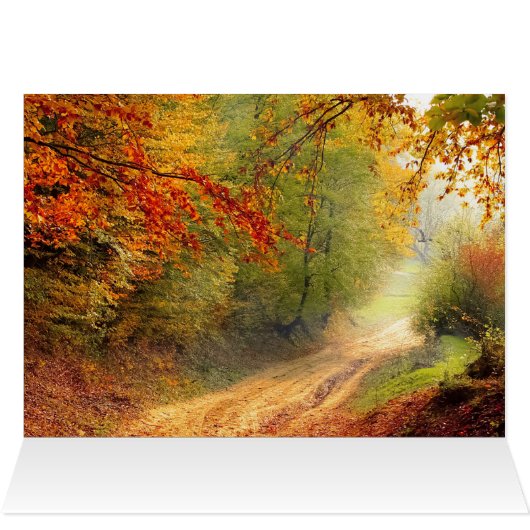 cas (Intérieur Horizontal (Haut))