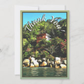 Casa Bahia Bonita Merci 0759 (Devant)