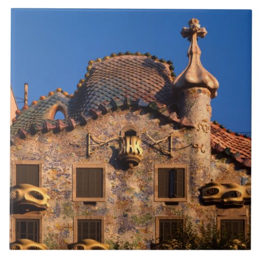 Casa Batilo, Gaudi Architecture, Barcelona, Tegeltje (Voorkant)