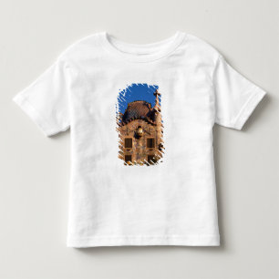 Casa Batilo, Gaudi-architectuur, Barcelona, Kinder Shirts
