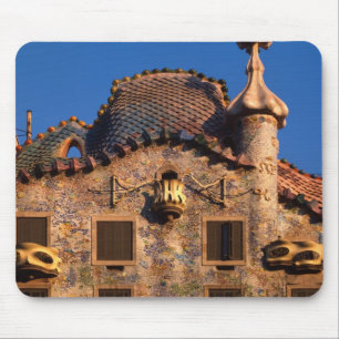 Casa Batilo, Gaudi-architectuur, Barcelona, Muismat