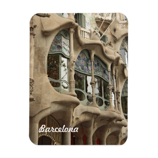 Casa Battlo Magneet (Verticaal)
