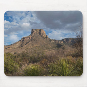 Casa Grande Peak, Chisos Basin, Big Bend Muismat