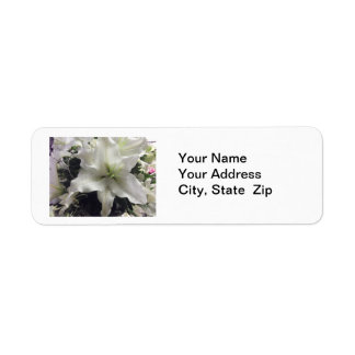 Casablanca Lily Flower Retouradres label