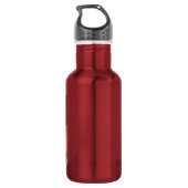 Cascadas de Agua Azul, Chiapas, Mexico Waterfles (Achterkant)