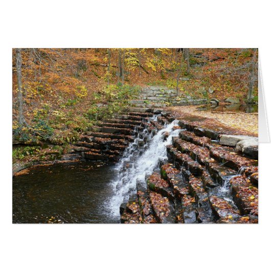 Cascade à Laurel Hill State Park II (Devant horizontal)