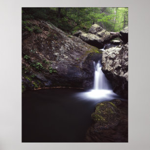 Cascade aan de Roos Poster