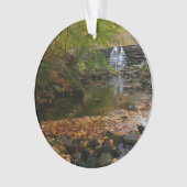 Cascade automnale et Creek Pennsylvania Nature (devant)