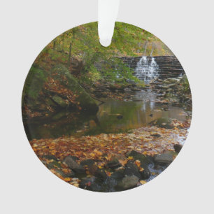 Cascade automnale et Creek Pennsylvania Nature