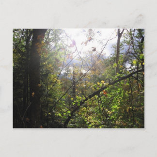 cascade-berg briefkaart