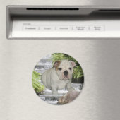 Cascade Bulldog Puppy Magnet (In Situ (Lave-vaisselle))
