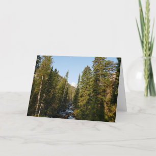 Cascade Creek bij Grand Teton Kaart