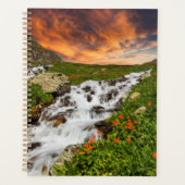 Cascade dans les montagnes avec fleurs (Devant)