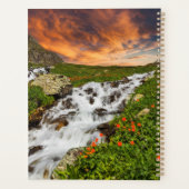 Cascade dans les montagnes avec fleurs (Dos)