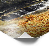 Cascade d'automne pittoresque Nature Paysage Photo (Coin)