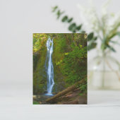 Cascade de carte postale en forêt (Debout devant)