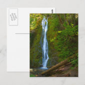 Cascade de carte postale en forêt (Devant / Derrière)