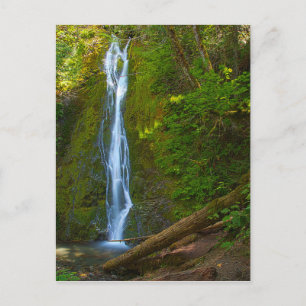 Cascade de carte postale en forêt