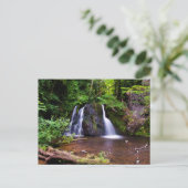 Cascade de Fairy Glen, Rosemarkie Carte postale (Debout devant)