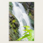 Cascade de Hell's Gate Canyon (Devant)