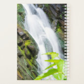 Cascade de Hell's Gate Canyon (Dos)