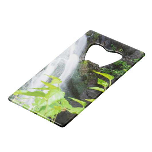 Cascade de Hell's Gate Canyon (Dos Angle)