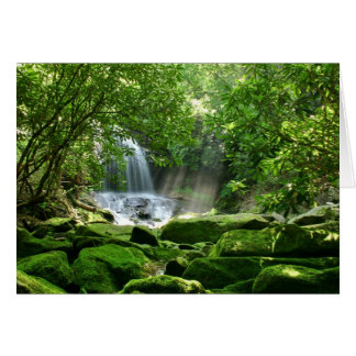 Cascade de la forêt pluviale