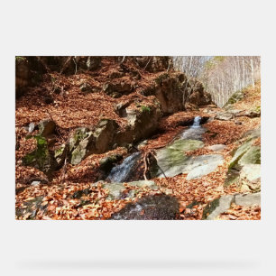 Cascade de Montagne - Nature Sauvage Roumanie