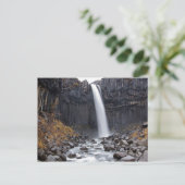 Cascade de Svartifoss en Islande carte postale (Debout devant)