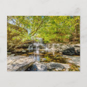 Cascade De Tanyard Creek Dans La Carte Postale Aut (Devant)