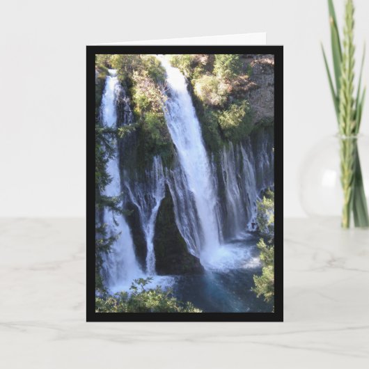 Cascade de Tarzan - Chanson de Sol. Carte de voeux (Devant)