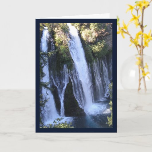 Cascade de Tarzan - Chanson de Sol. Carte de voeux (Fleur jaune)