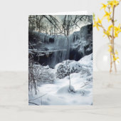 Cascade d'hiver, carte (Fleur jaune)