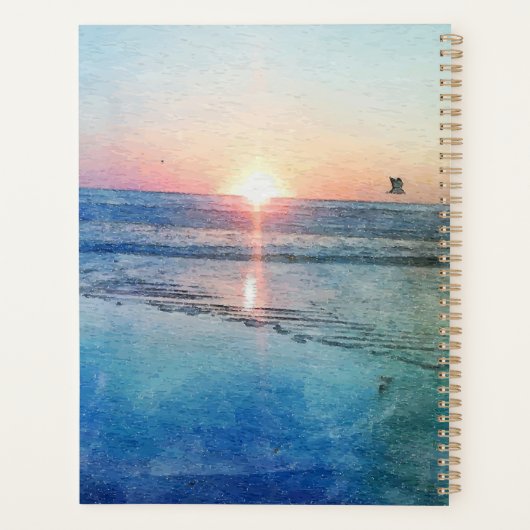 Cascade du coucher de soleil de la plage du Pacifi (Dos)