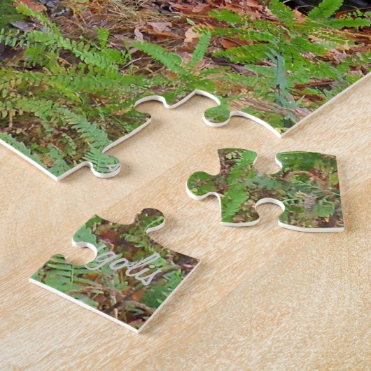 Cascade en Arkansas USA Jigsaw Puzzle (Côté)