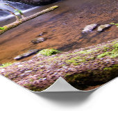 Cascade Fairy Glen, Rosemarkie, Ecosse Poster (Coin)