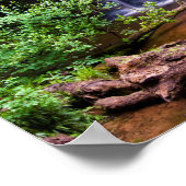 Cascade Fairy Glen, Rosemarkie, Ecosse Poster (Coin)