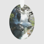 Cascade Falls dans le parc national de Yosemite (dos)