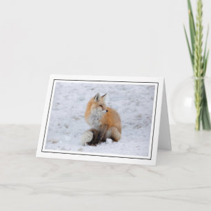 Cascade Fox in sneeuw Feestdagen Kaart