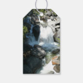 Cascade-Herfsten in het Nationaal Park Yosemite Cadeaulabel (Voorkant)